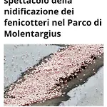 Trilocale Margine Rosso * Quartu SantʼElena