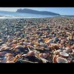 Lägenhet Trilocale Margine Rosso *