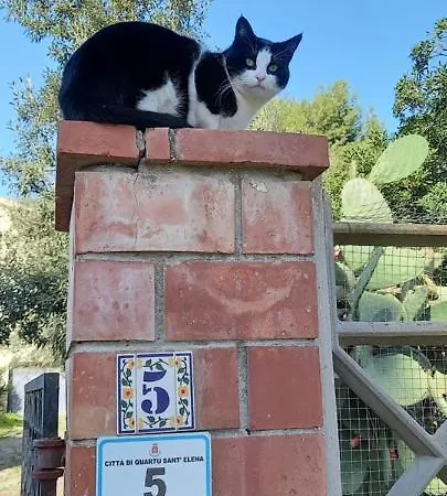 马尔吉内罗素酒店 夸尔图-圣埃莱娜