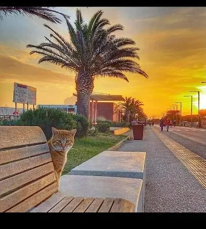 公寓 马尔吉内罗素酒店 *