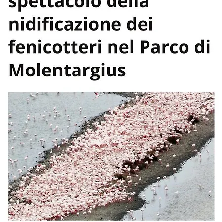 马尔吉内罗素酒店 * 夸尔图-圣埃莱娜