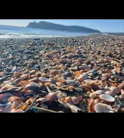 公寓 马尔吉内罗素酒店 *